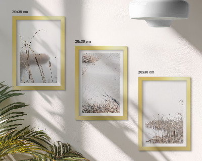Lot de 3 tableaux Végétation aquatique délicate vues estivales
