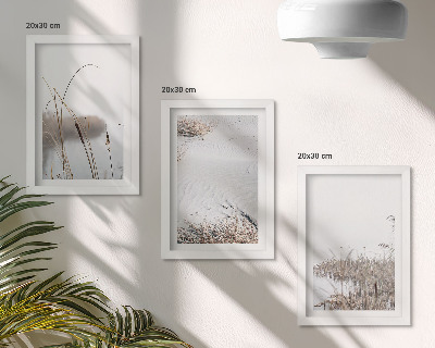 Lot de 3 tableaux Végétation aquatique délicate vues estivales
