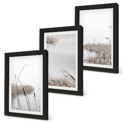 Lot de 3 tableaux Végétation aquatique délicate vues estivales