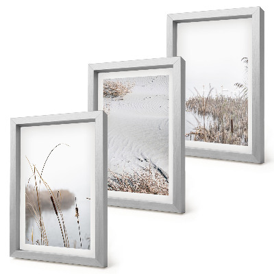 Lot de 3 tableaux Végétation aquatique délicate vues estivales