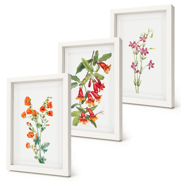 Lot de 3 tableaux Peinture florale rétro vintage