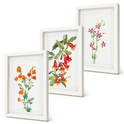 Lot de 3 tableaux Peinture florale rétro vintage