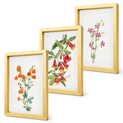 Peinture florale rétro vintage lot de 3 tableaux