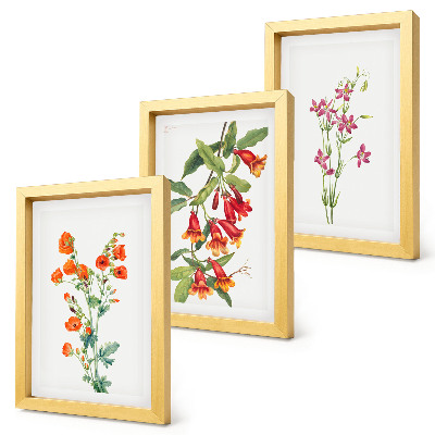 Lot de 3 tableaux Peinture florale rétro vintage