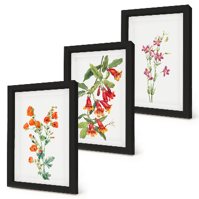 Lot de 3 tableaux Peinture florale rétro vintage