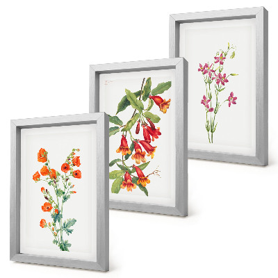 Lot de 3 tableaux Peinture florale rétro vintage