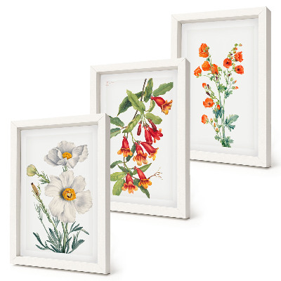 Ensemble de 3 tableaux Compositions florales peinture rétro vintage