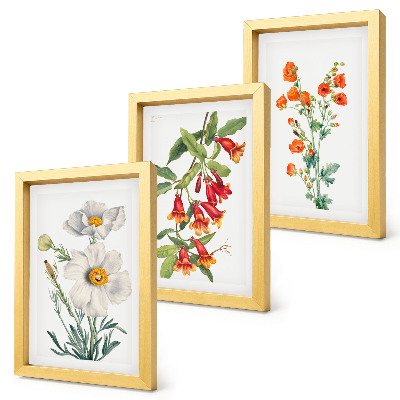 Ensemble de 3 tableaux Compositions florales peinture rétro vintage