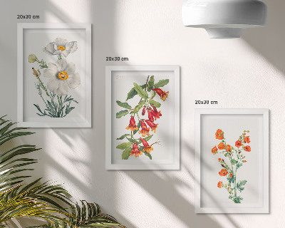 Ensemble de 3 tableaux Compositions florales peinture rétro vintage