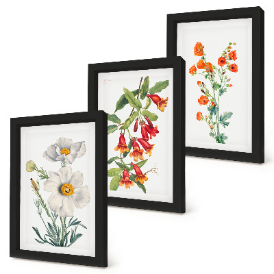Ensemble de 3 tableaux Compositions florales peinture rétro vintage