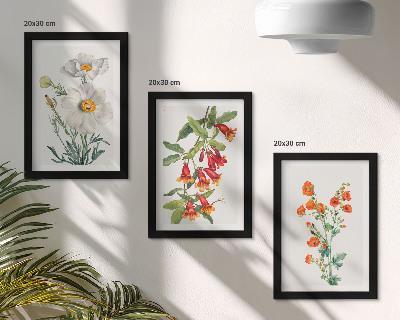 Ensemble de 3 tableaux Compositions florales peinture rétro vintage