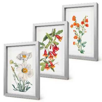 Ensemble de 3 tableaux Compositions florales peinture rétro vintage