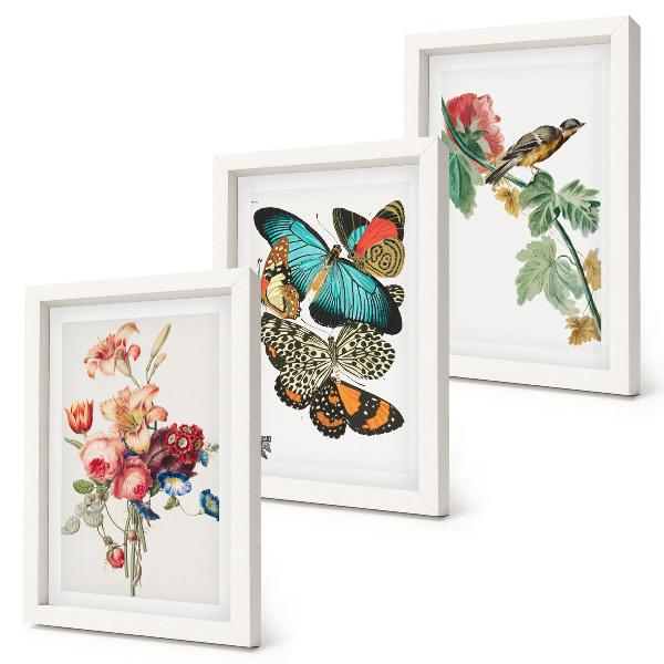 Mur de cadres Des fleurs, des papillons et un oiseau dans des tons pastel