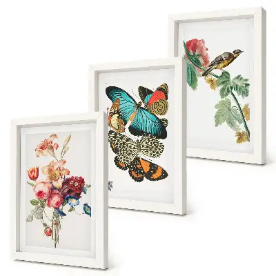 Mur de cadres avec des fleurs, des papillons et un oiseau dans des tons pastel