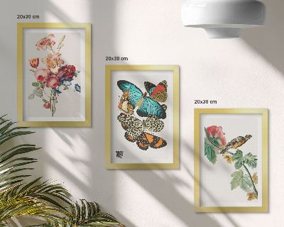 Mur de cadres Des fleurs, des papillons et un oiseau dans des tons pastel
