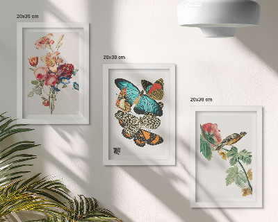 Mur de cadres Des fleurs, des papillons et un oiseau dans des tons pastel