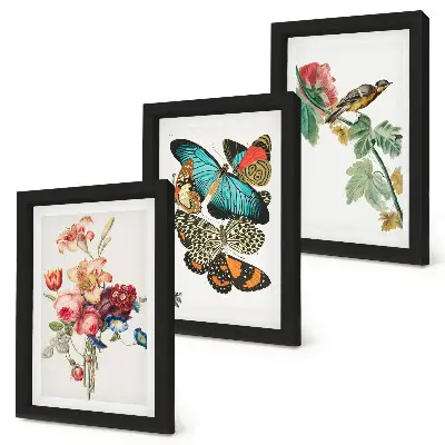 Mur de cadres avec des fleurs, des papillons et un oiseau dans des tons pastel