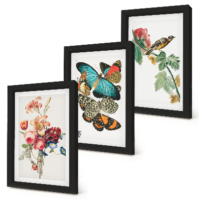 Mur de cadres Des fleurs, des papillons et un oiseau dans des tons pastel