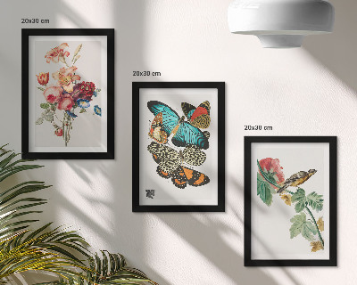 Mur de cadres Des fleurs, des papillons et un oiseau dans des tons pastel