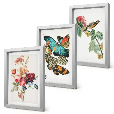 Mur de cadres avec des fleurs, des papillons et un oiseau dans des tons pastel