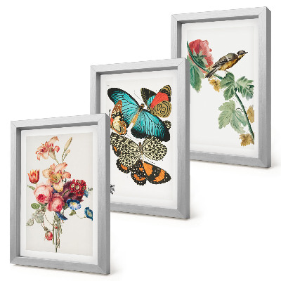 Mur de cadres Des fleurs, des papillons et un oiseau dans des tons pastel