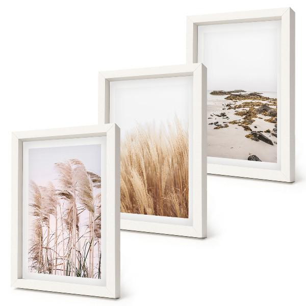 Ensemble de 3 tableaux Des champs d'herbes de la pampa et une plage bohème