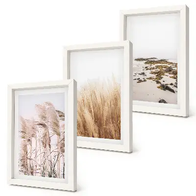 Ensemble de 3 tableaux représentant des champs d'herbes de la pampa et une plage bohème