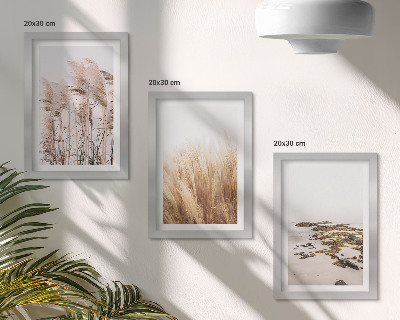 Ensemble de 3 tableaux Des champs d'herbes de la pampa et une plage bohème