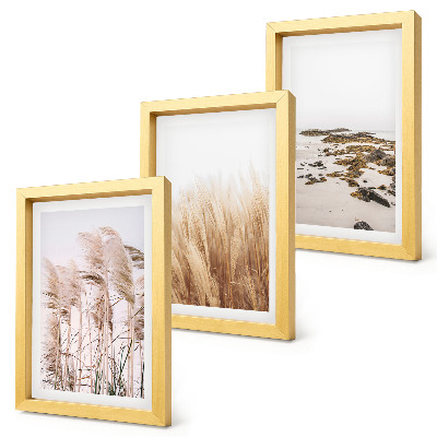 Ensemble de 3 tableaux Des champs d'herbes de la pampa et une plage bohème
