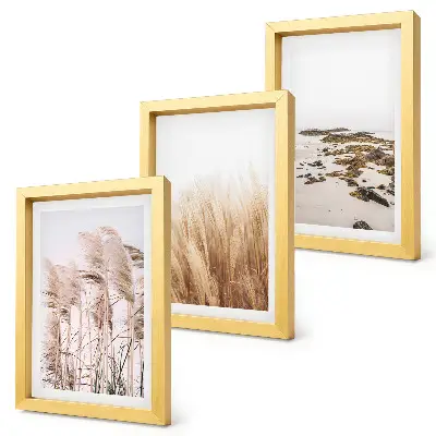 Ensemble de 3 tableaux représentant des champs d'herbes de la pampa et une plage bohème