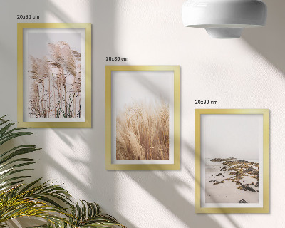 Ensemble de 3 tableaux Des champs d'herbes de la pampa et une plage bohème