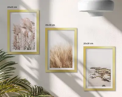 Ensemble de 3 tableaux représentant des champs d'herbes de la pampa et une plage bohème