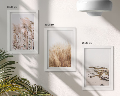 Ensemble de 3 tableaux Des champs d'herbes de la pampa et une plage bohème