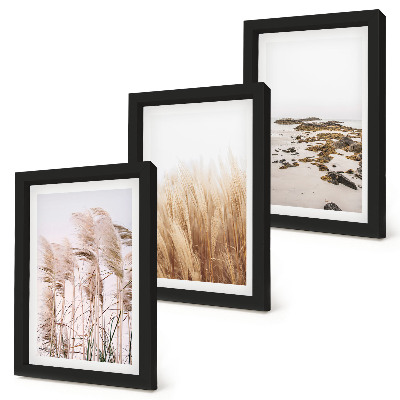 Ensemble de 3 tableaux Des champs d'herbes de la pampa et une plage bohème
