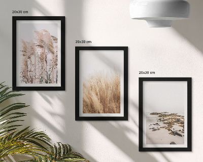 Ensemble de 3 tableaux Des champs d'herbes de la pampa et une plage bohème