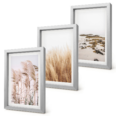 Ensemble de 3 tableaux Des champs d'herbes de la pampa et une plage bohème