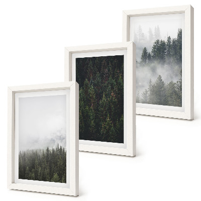 Ensemble de 3 tableaux Forêts verdoyantes dans un cadre naturel brumeux