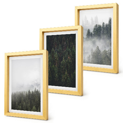 Ensemble de 3 tableaux Forêts verdoyantes dans un cadre naturel brumeux