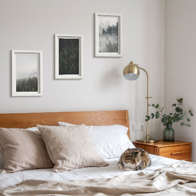 Ensemble de 3 tableaux Forêts verdoyantes dans un cadre naturel brumeux