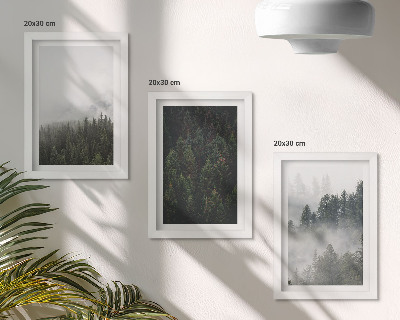 Ensemble de 3 tableaux Forêts verdoyantes dans un cadre naturel brumeux