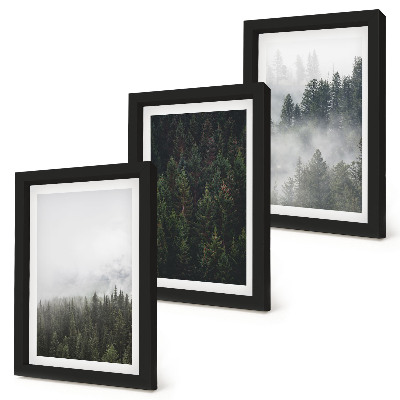 Ensemble de 3 tableaux Forêts verdoyantes dans un cadre naturel brumeux