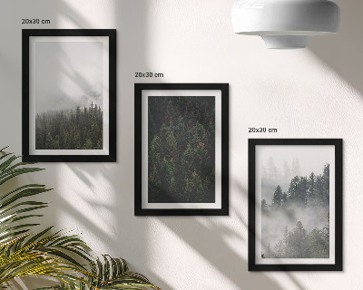 Ensemble de 3 tableaux Forêts verdoyantes dans un cadre naturel brumeux