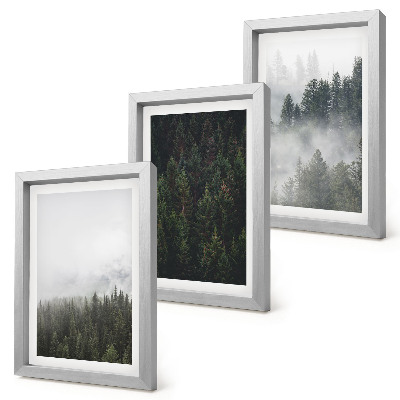 Ensemble de 3 tableaux Forêts verdoyantes dans un cadre naturel brumeux
