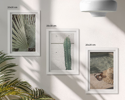 Ensemble de 3 tableaux Plantes tropicales et accessoires de vacances au bord de l'eau