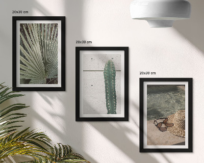 Ensemble de 3 tableaux Plantes tropicales et accessoires de vacances au bord de l'eau