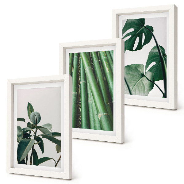 Lot de 3 tableaux Tiges de bambou, plante d'intérieur et feuilles de monstera