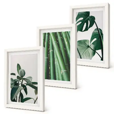 Lot de 3 tableaux motif tiges de bambou, plante d'intérieur et feuilles de monstera