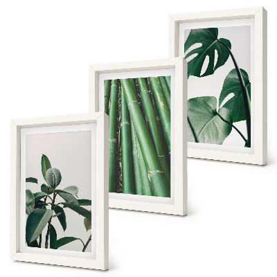 Lot de 3 tableaux Tiges de bambou, plante d'intérieur et feuilles de monstera