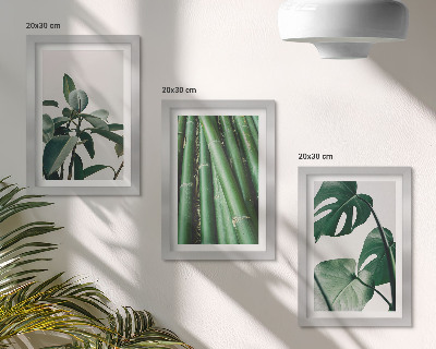 Lot de 3 tableaux Tiges de bambou, plante d'intérieur et feuilles de monstera