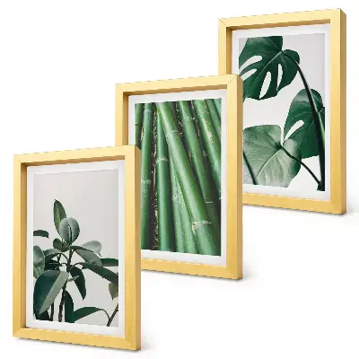 Lot de 3 tableaux motif tiges de bambou, plante d'intérieur et feuilles de monstera